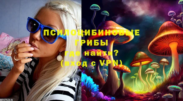 прущие грибы Одинцово