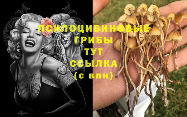 марки lsd Великий Новгород