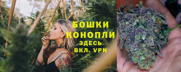 прущие грибы Одинцово
