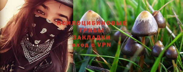 мяу мяу кристалл Новочеркасск