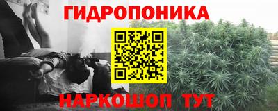 a pvp Бугуруслан