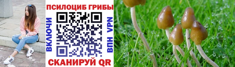 Псилоцибиновые грибы мухоморы Железноводск