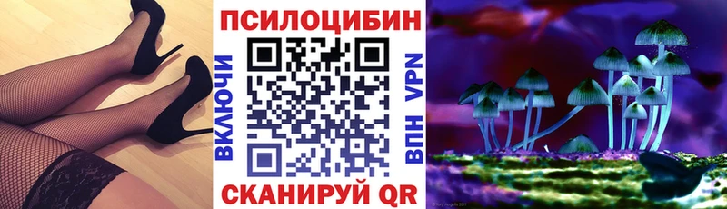 Галлюциногенные грибы Cubensis  Железноводск 