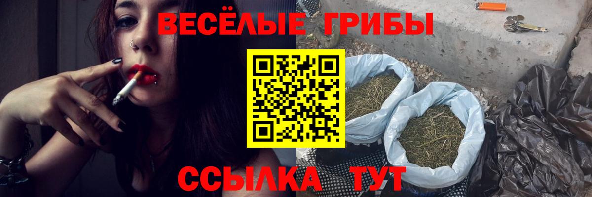 Псилоцибиновые грибы мицелий  Вход с VPN  Железноводск  Псилоцибиновые грибы Psilocybe 